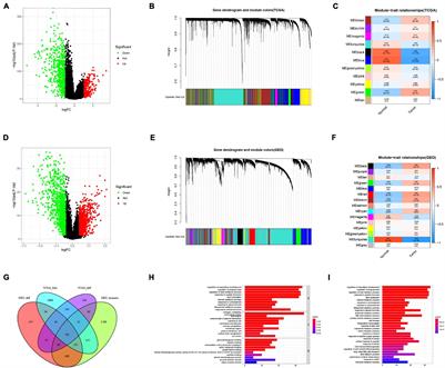 Integrated Analysis of the Expression Characteristics, Prognostic Value, and Immune Characteristics of PPARG in Breast Cancer